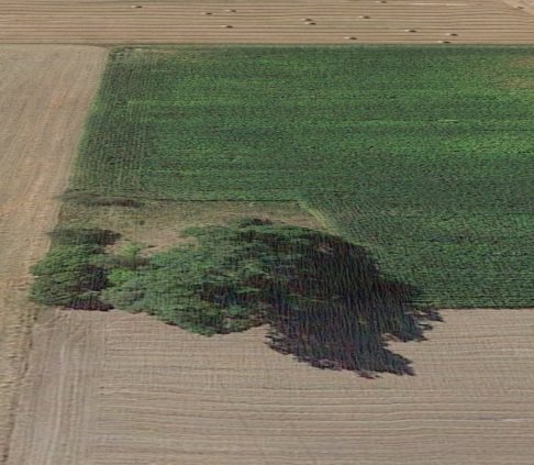 Działka budowlana na sprzedaż Tłuchowo, Wiejska  1 900m2 Foto 7