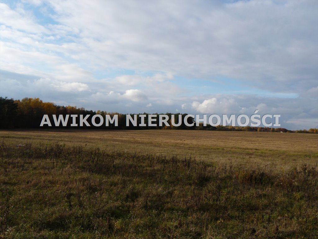 Na sprzedaż działka 16 ha w Puszczy Mariańskiej z lasem Puszcza Mariańska, Wycześniak  162 570m2 Foto 1