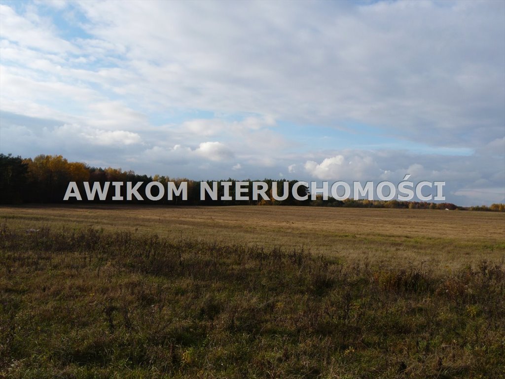 Działka inwestycyjna na sprzedaż Puszcza Mariańska, Wycześniak  162 570m2 Foto 1