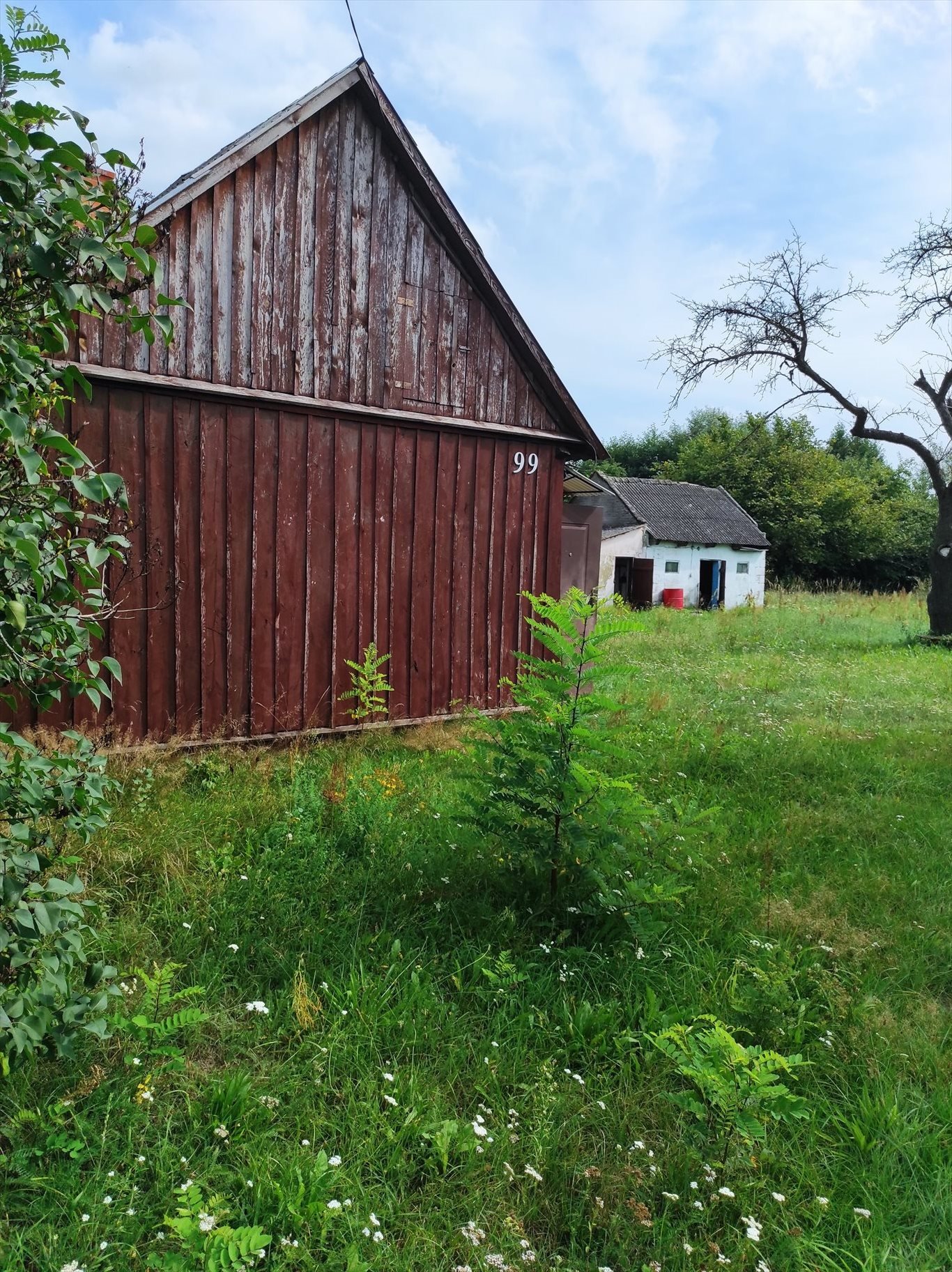 Działka rekreacyjna na sprzedaż Gębarzów gm. Skaryszew, 99  2 000m2 Foto 6