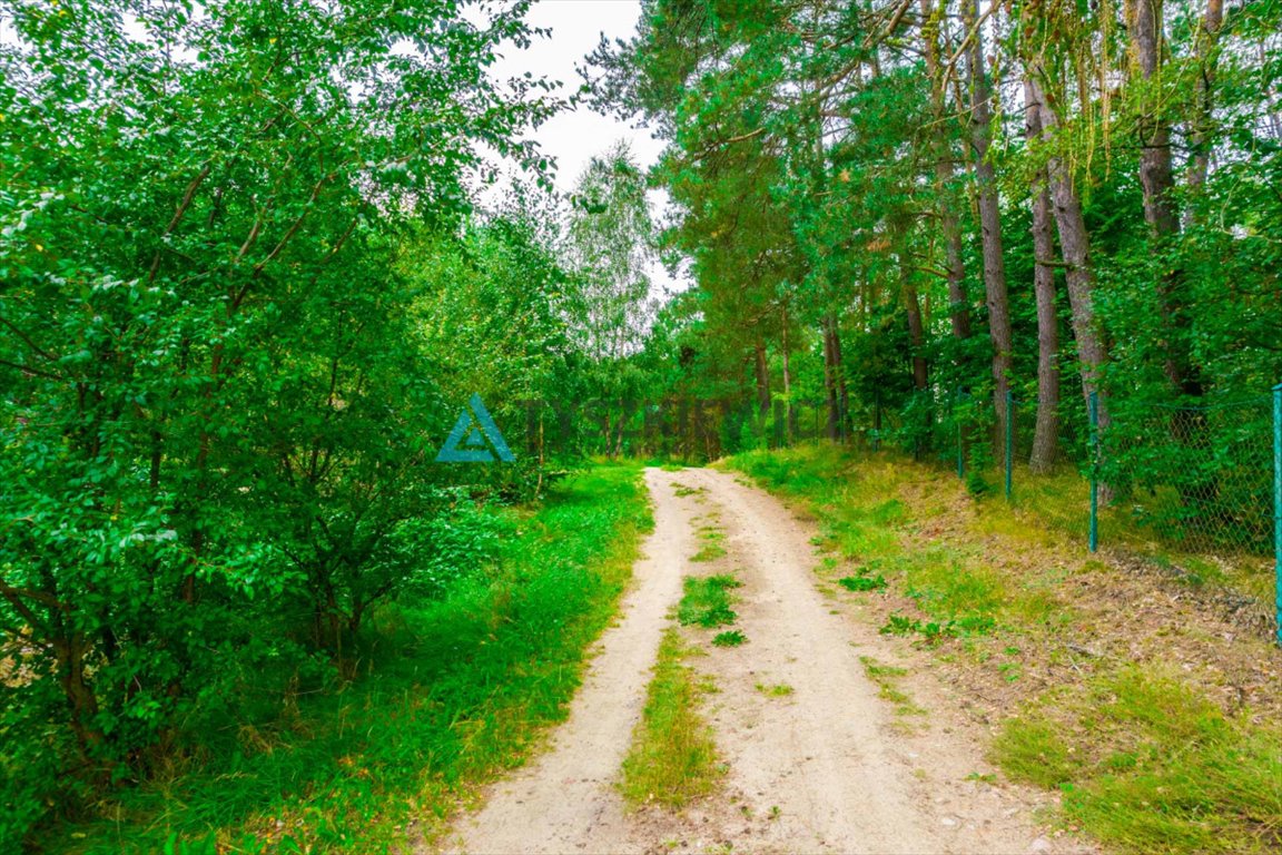 Działka rekreacyjna na sprzedaż Skorzewo  1 515m2 Foto 11