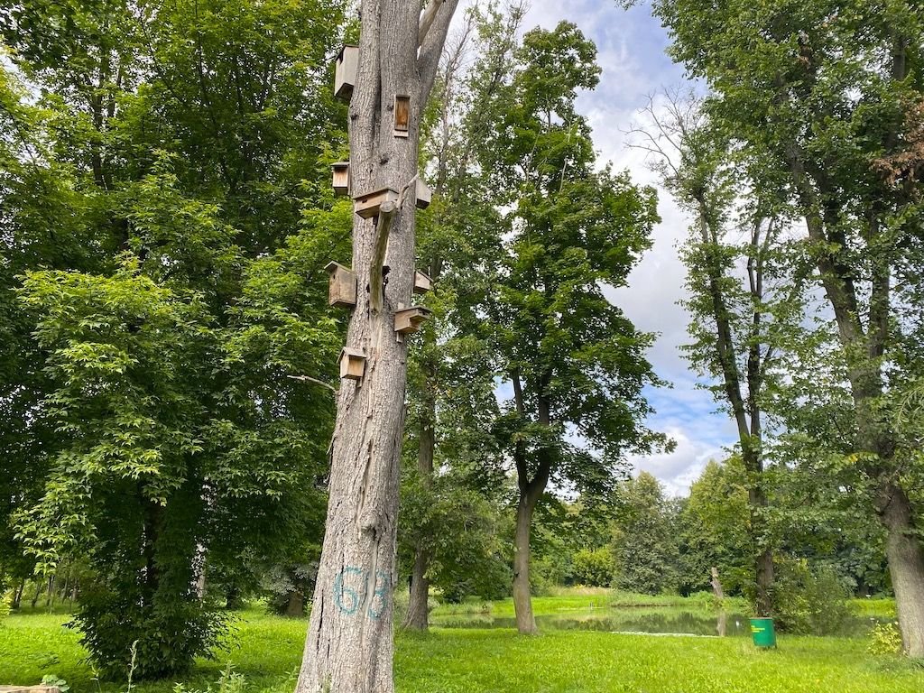 Działka budowlana na sprzedaż Leszno, Leszno, Fabryczna  1 053m2 Foto 2