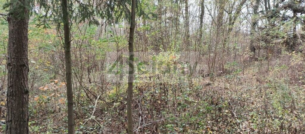 Działka 1500 m² w Ojrzanowie z lasem i dojazdem asfaltowym Ojrzanów  1 500m2 Foto 1