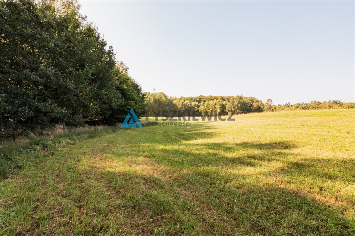 Działka rolna na sprzedaż Ełganowo, Macierzy Szkolnej  6 500m2 Foto 10