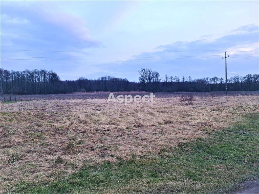 Działka inna na sprzedaż Skrzyszów  1 284m2 Foto 1