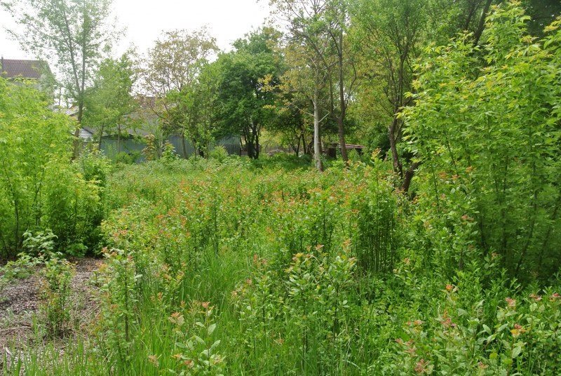 Działka inwestycyjna 3130 m² w Kielcach, media, plan MN3 Kielce, Piaski  3 130m2 Foto 1