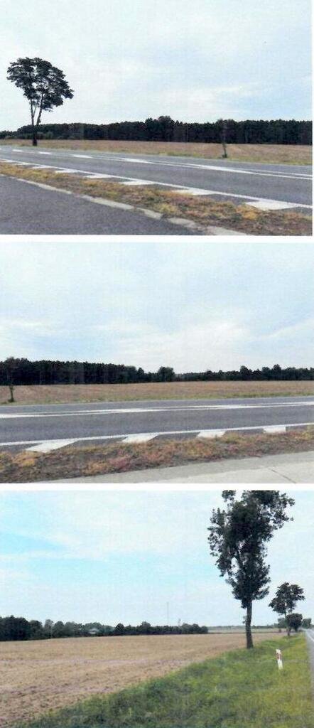 Udział 1/2 w 29 300 m² działki Kisielewo – okazja! Kisielewo  29 300m2 Foto 1