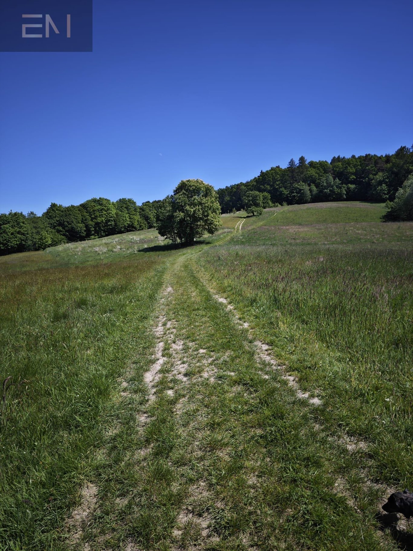 Działka rekreacyjna na sprzedaż Straszydle  5 200m2 Foto 3