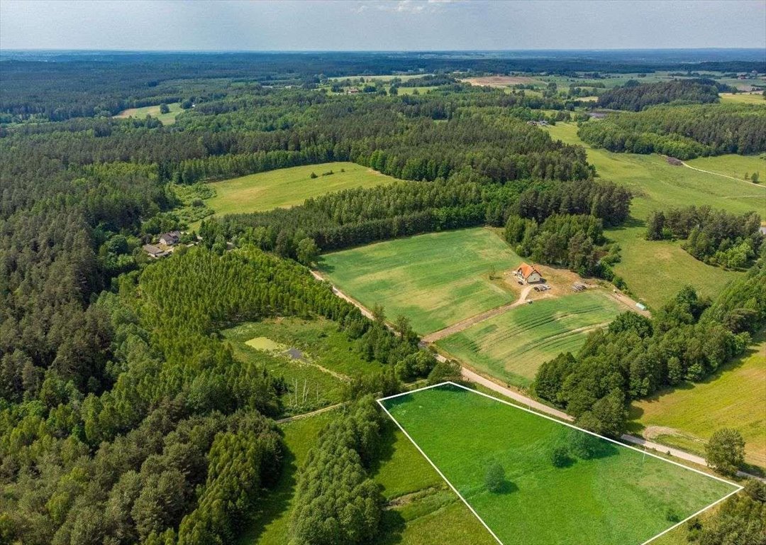 Działka budowlana na sprzedaż Kochanówka  9 600m2 Foto 4