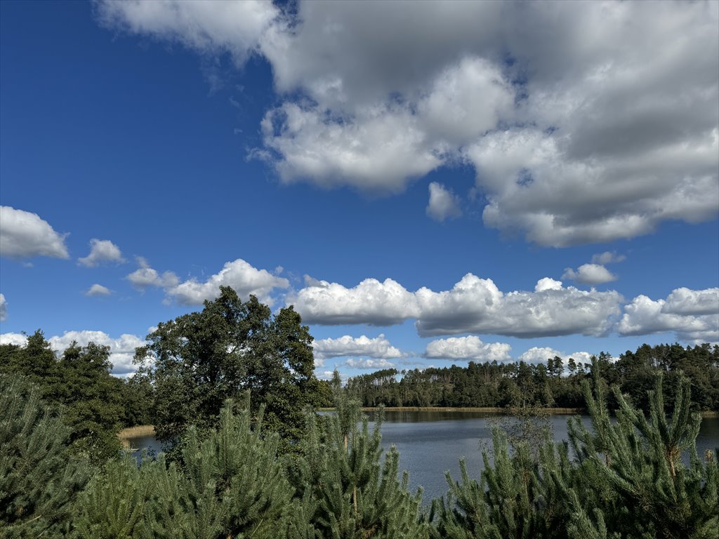 Działka nad jeziorem 8 994 m² z warunkami zabudowy Brusy, Leśno  8 994m2 Foto 1