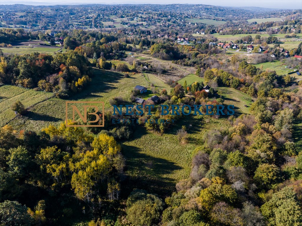 Działka budowlana na sprzedaż Pawlikowice  3 900m2 Foto 4