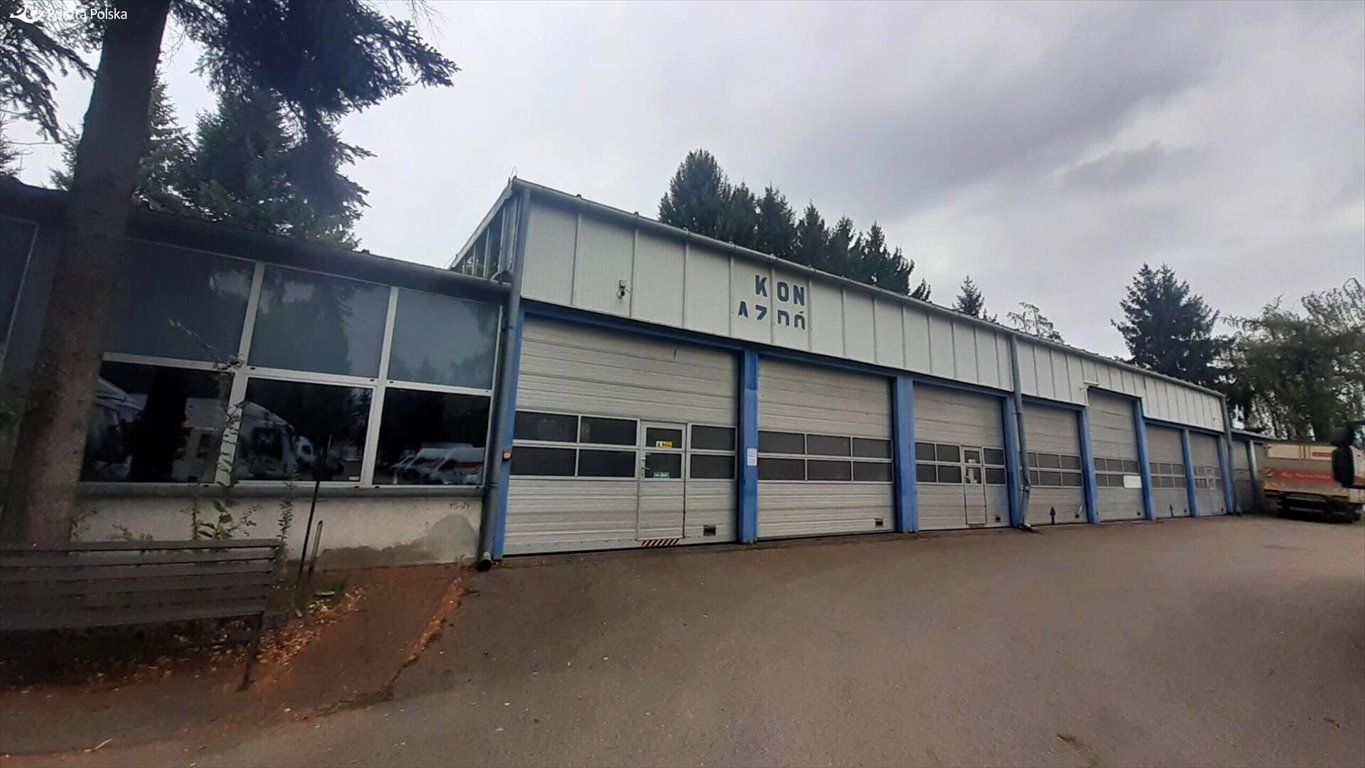 Lokal użytkowy na wynajem Rzeszów, Adama Matuszczaka  178m2 Foto 1