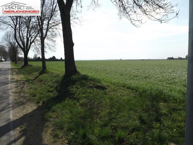 Działka budowlana na sprzedaż Gortatowo  3 000m2 Foto 1