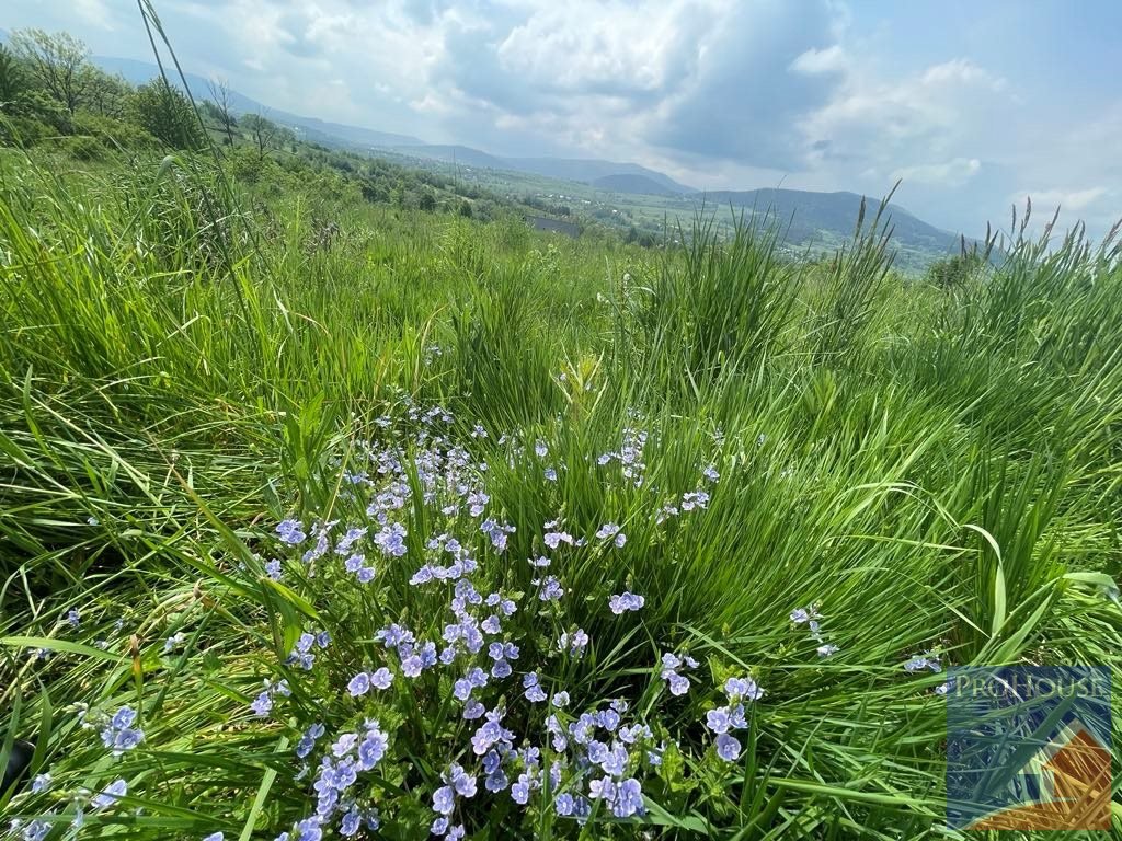 Działka budowlana na sprzedaż Zamieście  4 800m2 Foto 17