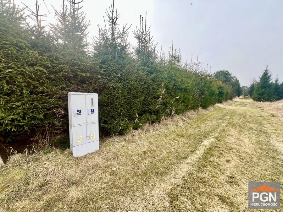 Działka 3007 m² (z możliwością budowy 6 domów) w Gostyncu Gostyniec  3 007m2 Foto 1