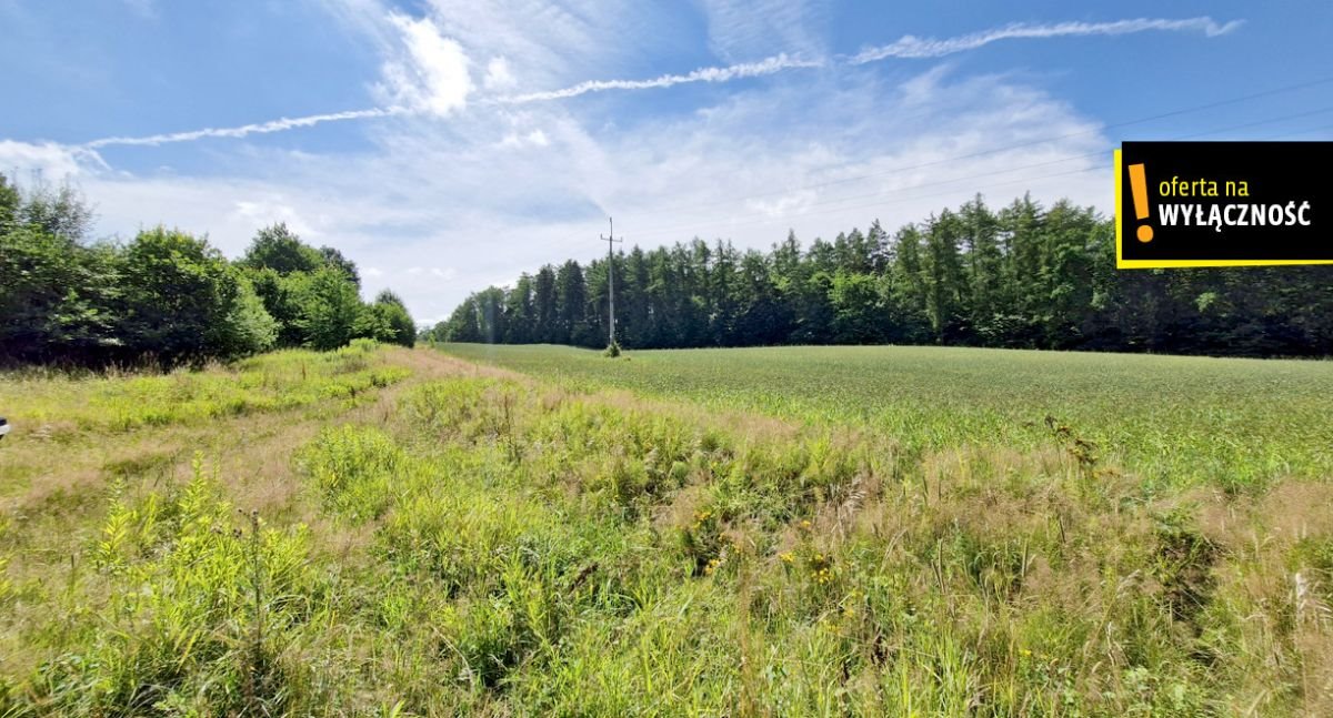 Działka rolna na sprzedaż Łęcze  66 300m2 Foto 3