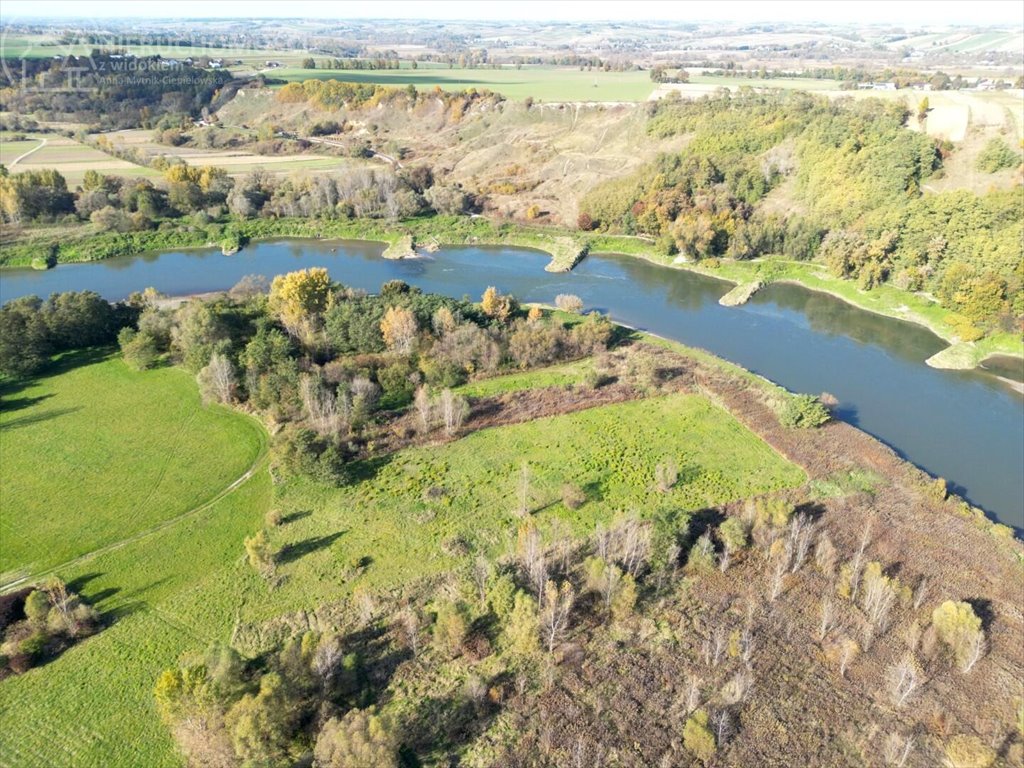 Działka rolna na sprzedaż Dąbrówka Morska  9 500m2 Foto 8