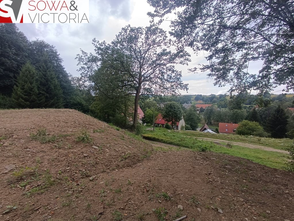 Działka budowlana na sprzedaż Dziećmorowice  6 052m2 Foto 8