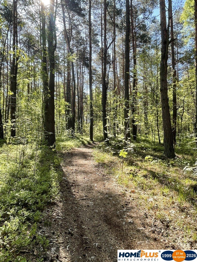 Zdjęcie 8