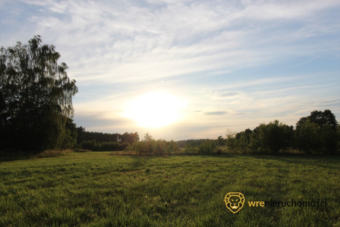 Działka przemysłowo-handlowa na sprzedaż Śliwice, Zdrojowa  47 740m2 Foto 8