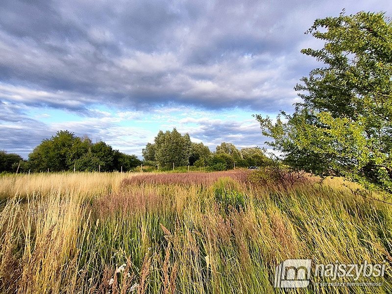 Działka rolna na sprzedaż Łupowo, Wieprzyce  2 352m2 Foto 9