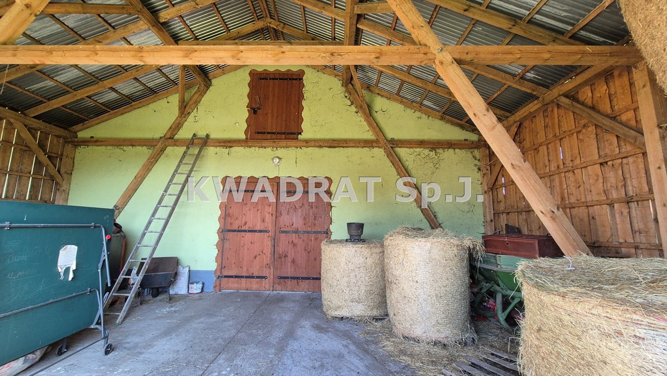 Lokal użytkowy na sprzedaż Dąbie  450m2 Foto 14