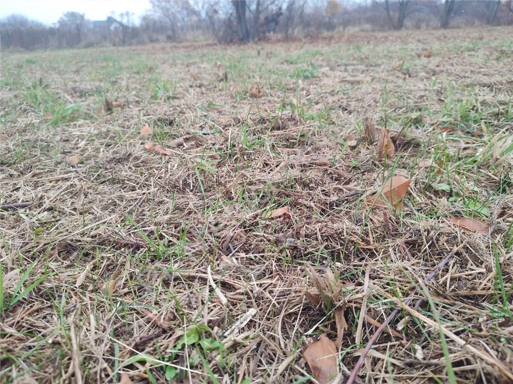 Działka budowlana na sprzedaż Rusiec  1 000m2 Foto 2