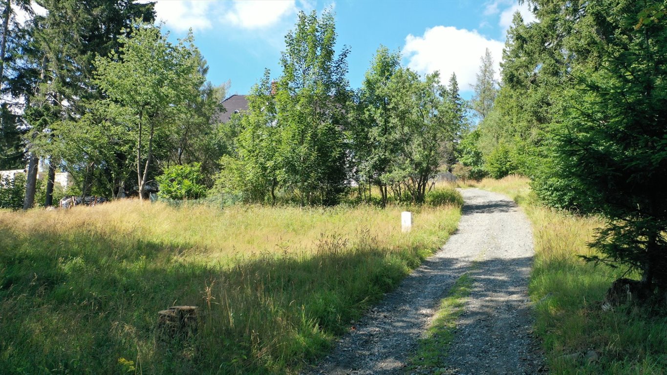 Działka budowlana na sprzedaż Szklarska Poręba, Huta, Kryształowa  1 006m2 Foto 3