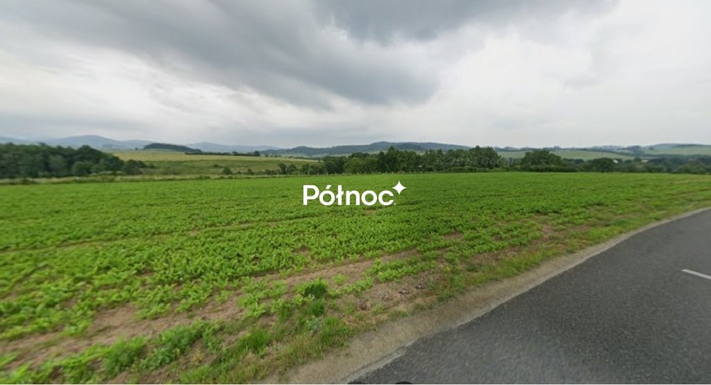 Działka 3,86 ha pod zabudowę i rekreację w Jaszkowej Jaszkowa Dolna  38 600m2 Foto 1