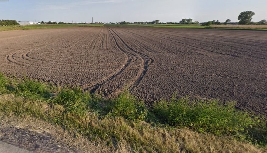 Działka budowlana na sprzedaż Michałówek  10 000m2 Foto 2