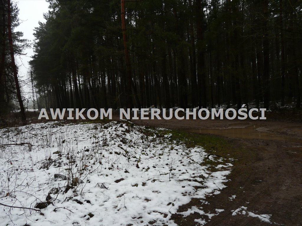 Działka leśna na sprzedaż Skierniewice, Borowiny  9 813m2 Foto 20