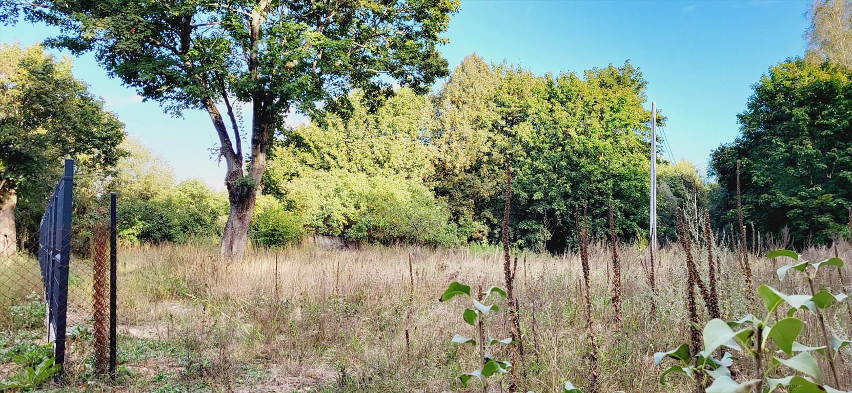 Działka inna na sprzedaż Grudziądz  1 081m2 Foto 2