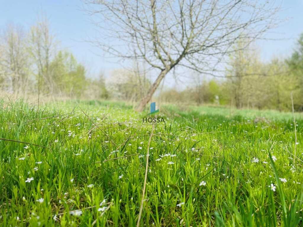 Działka budowlana na sprzedaż Małdyty  1 083m2 Foto 10