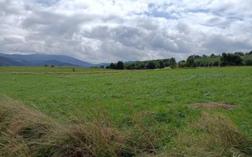 Działka inna na sprzedaż Walim, Niedźwiedzica  2 200m2 Foto 2