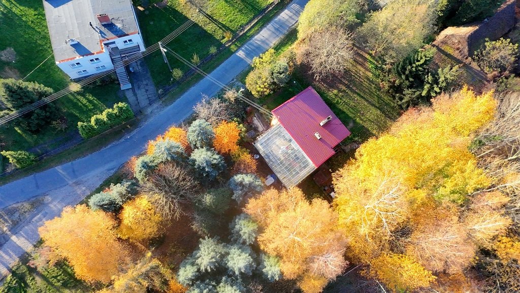 Przestronny dom z oranżerią i dużą działką w lasach Drzeniów  199m2 Foto 1