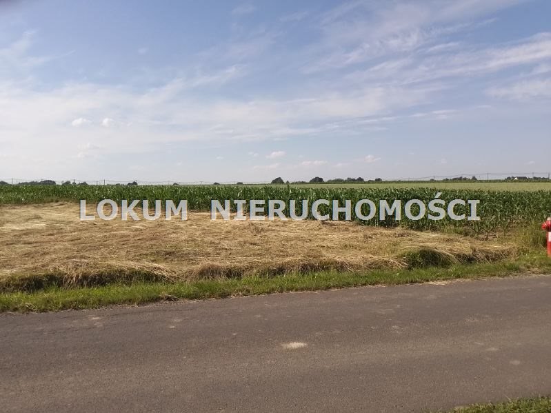 Działka budowlana na sprzedaż Pawłowice  1 054m2 Foto 4