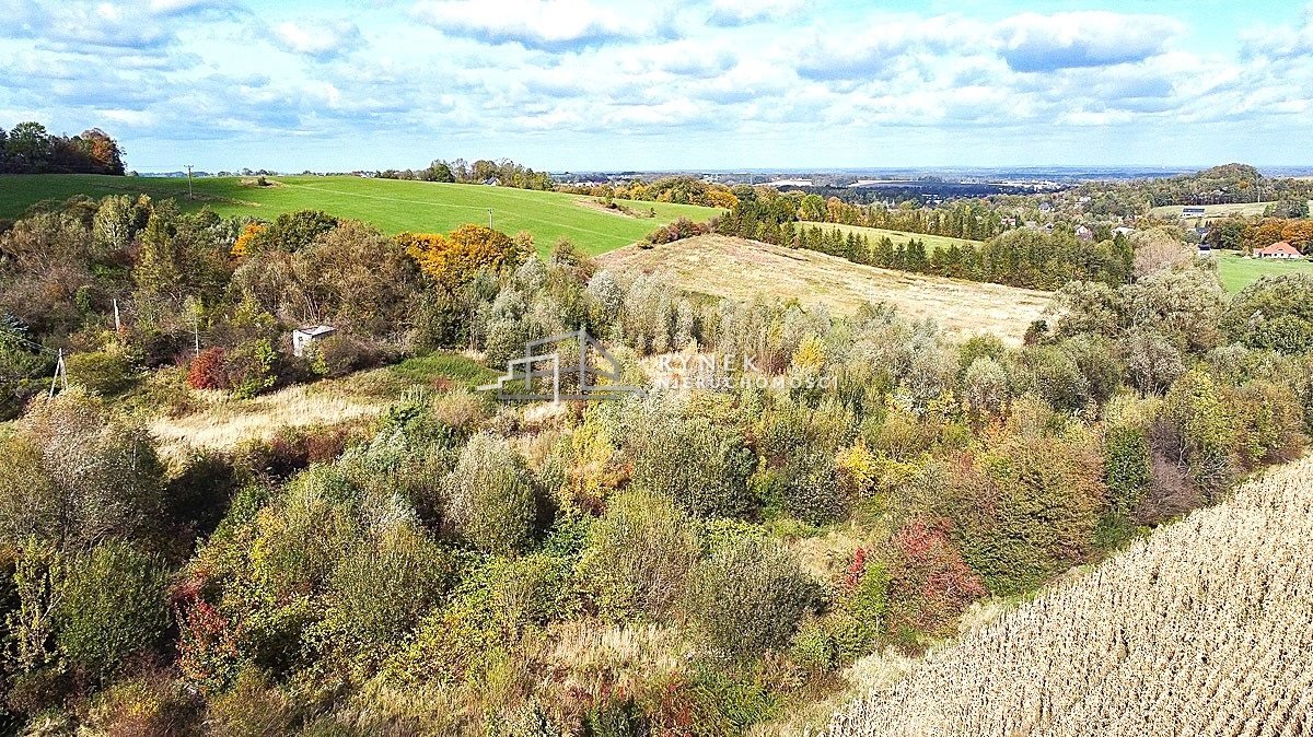Działka inwestycyjna na sprzedaż Jasienica  32 622m2 Foto 4