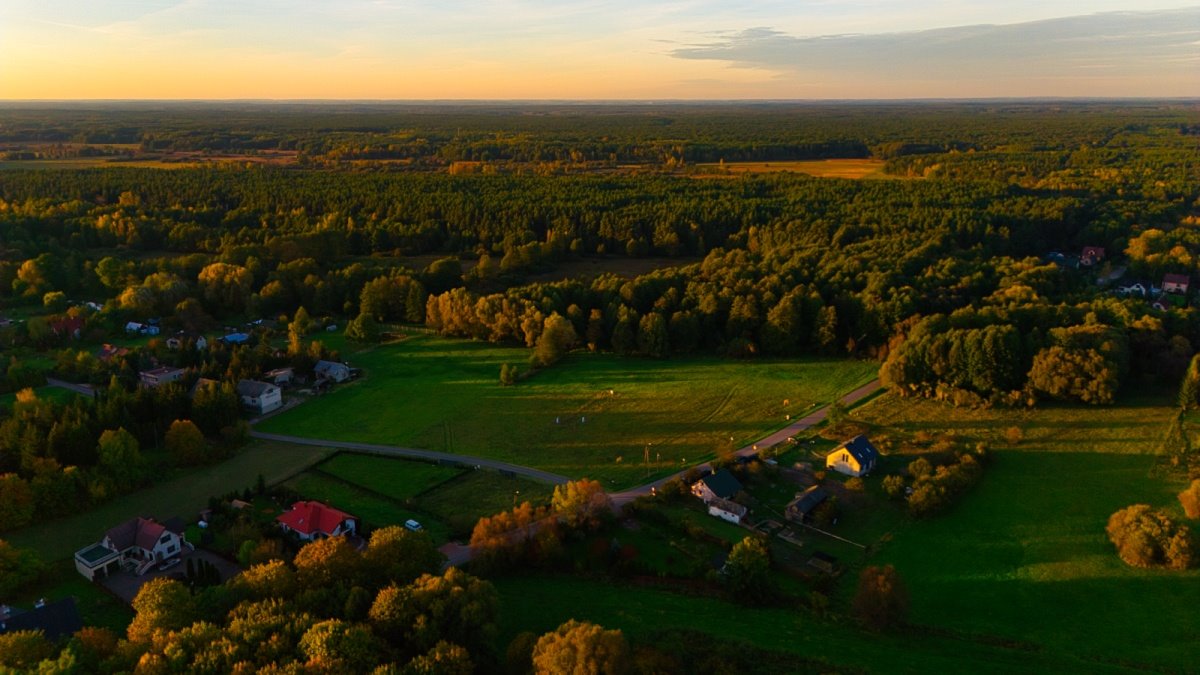 Działka budowlana na sprzedaż Kampinos, Partyzantów  1 687m2 Foto 5