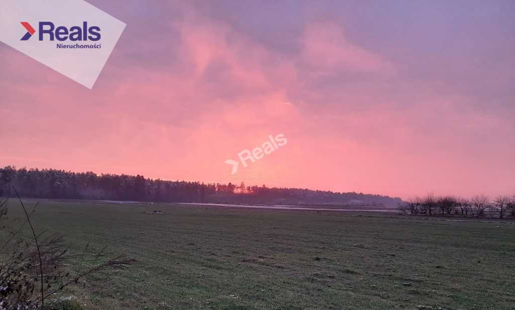 Działka siedliskowa na sprzedaż Złotopolice  3 000m2 Foto 2