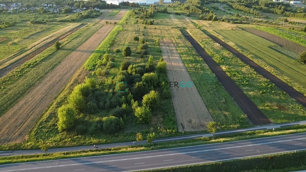 Działka komercyjna na sprzedaż Białki  38 810m2 Foto 5