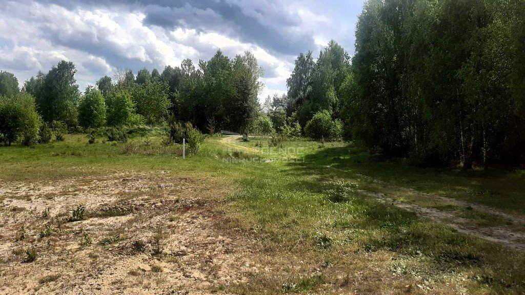 Działka budowlana na sprzedaż Dąbie  1 500m2 Foto 4