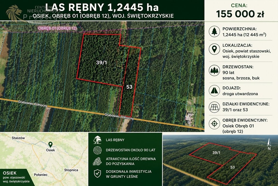 Atrakcyjny las rębny 1,24 ha w Osieku z dojazdem Osiek  12 425m2 Foto 1