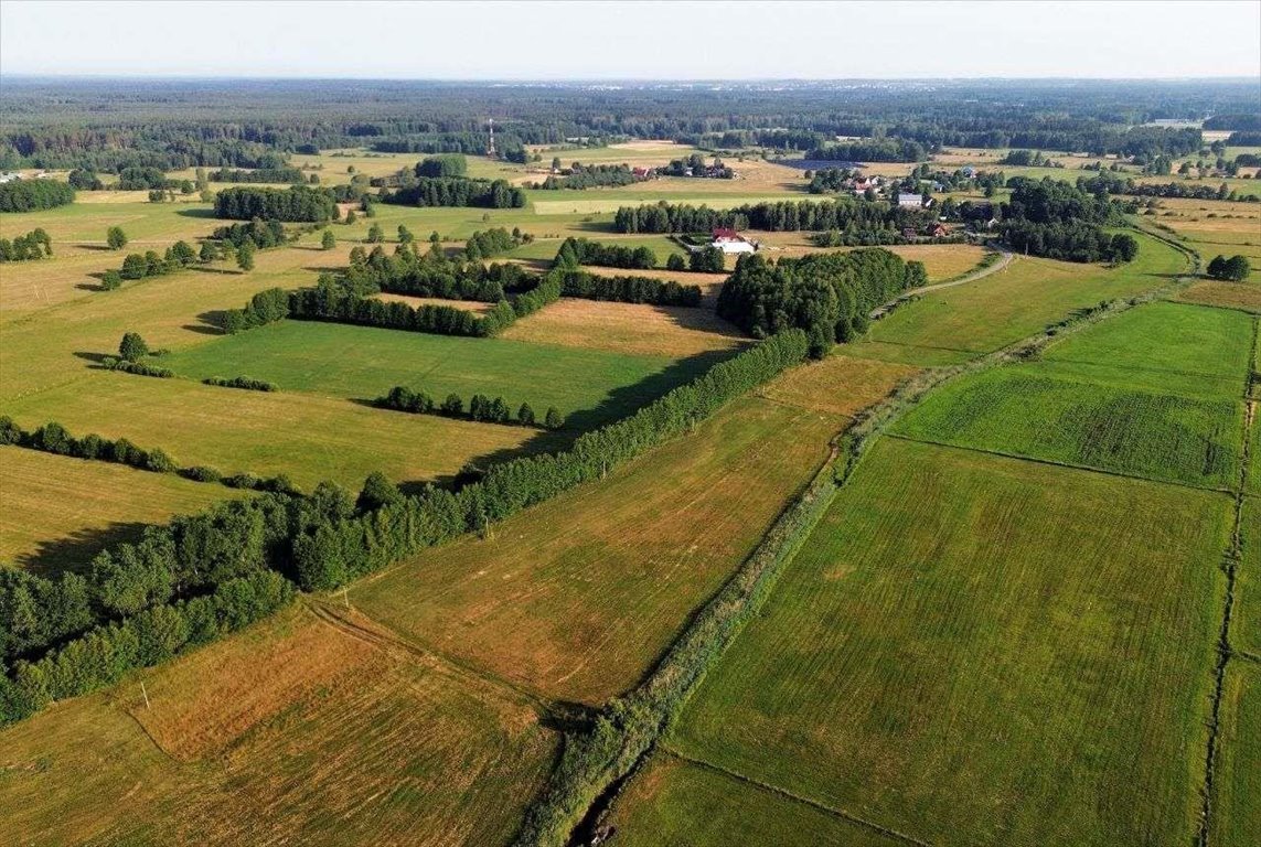 Działka rolna na sprzedaż Czarkowy Grąd  1 284m2 Foto 4