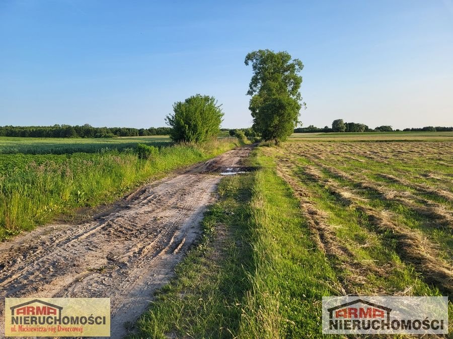 Działka rolna 1,79 ha Tarnowo – możliwość nabycia dla nie-rolników Tarnowo  17 900m2 Foto 1