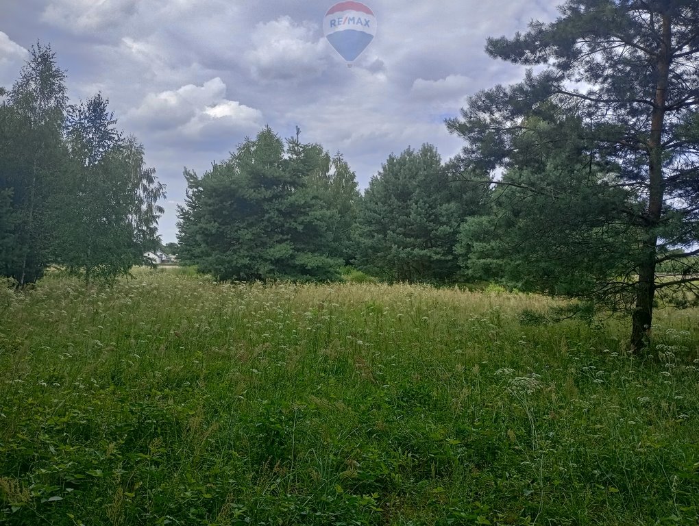 Działka leśna na sprzedaż Ruda  15 731m2 Foto 3