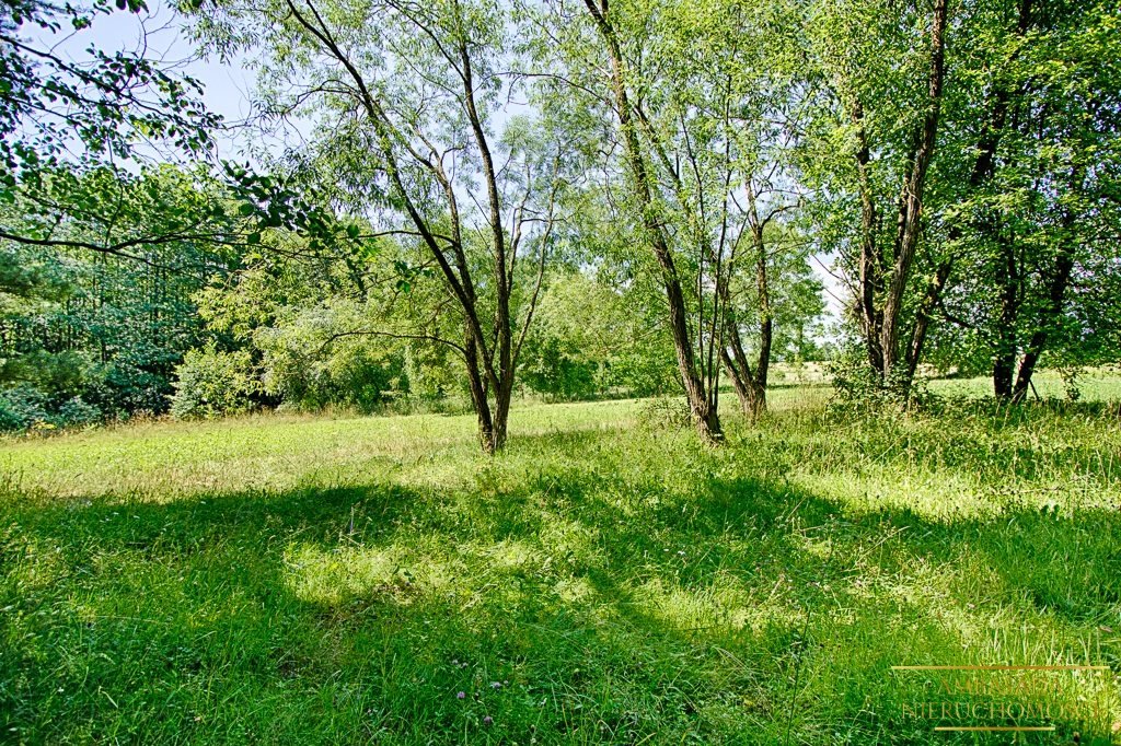 Działka rolna na sprzedaż Kuplisk, Kamienica  28 000m2 Foto 9