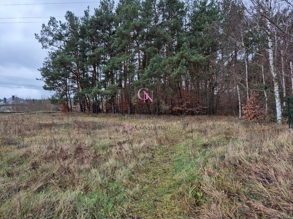 Działka budowlana na sprzedaż Odolion  1 148m2 Foto 7