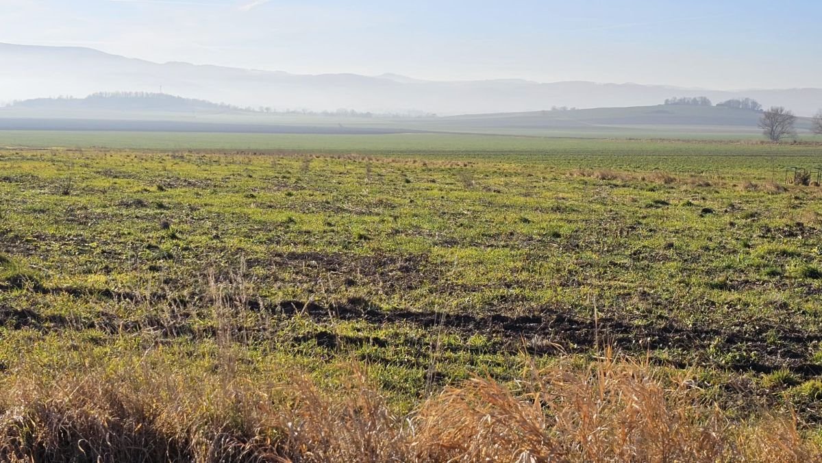 Działka budowlana na sprzedaż Książnica  1 200m2 Foto 11