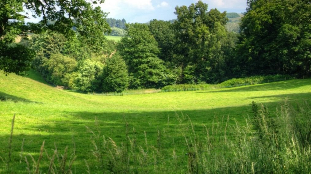 Działka siedliskowa na sprzedaż Samułki Duże  7 600m2 Foto 3