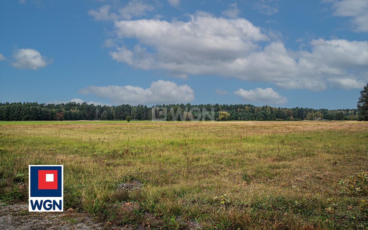 Działka rolna na sprzedaż Ołobok, centrum  91 500m2 Foto 11